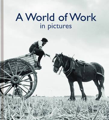 A World of Work in Pictures